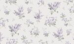 AURORA 4023-3 - Image 2