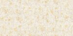 S'NICE 10242-3 - Image 2