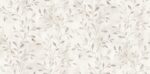 S'NICE 10254-1 - Image 2