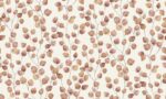 TRENDWALL 37044-3 - Image 2