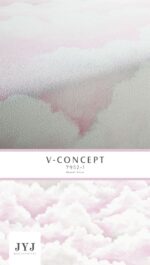V CONCEPT 7952-1 - Image 3