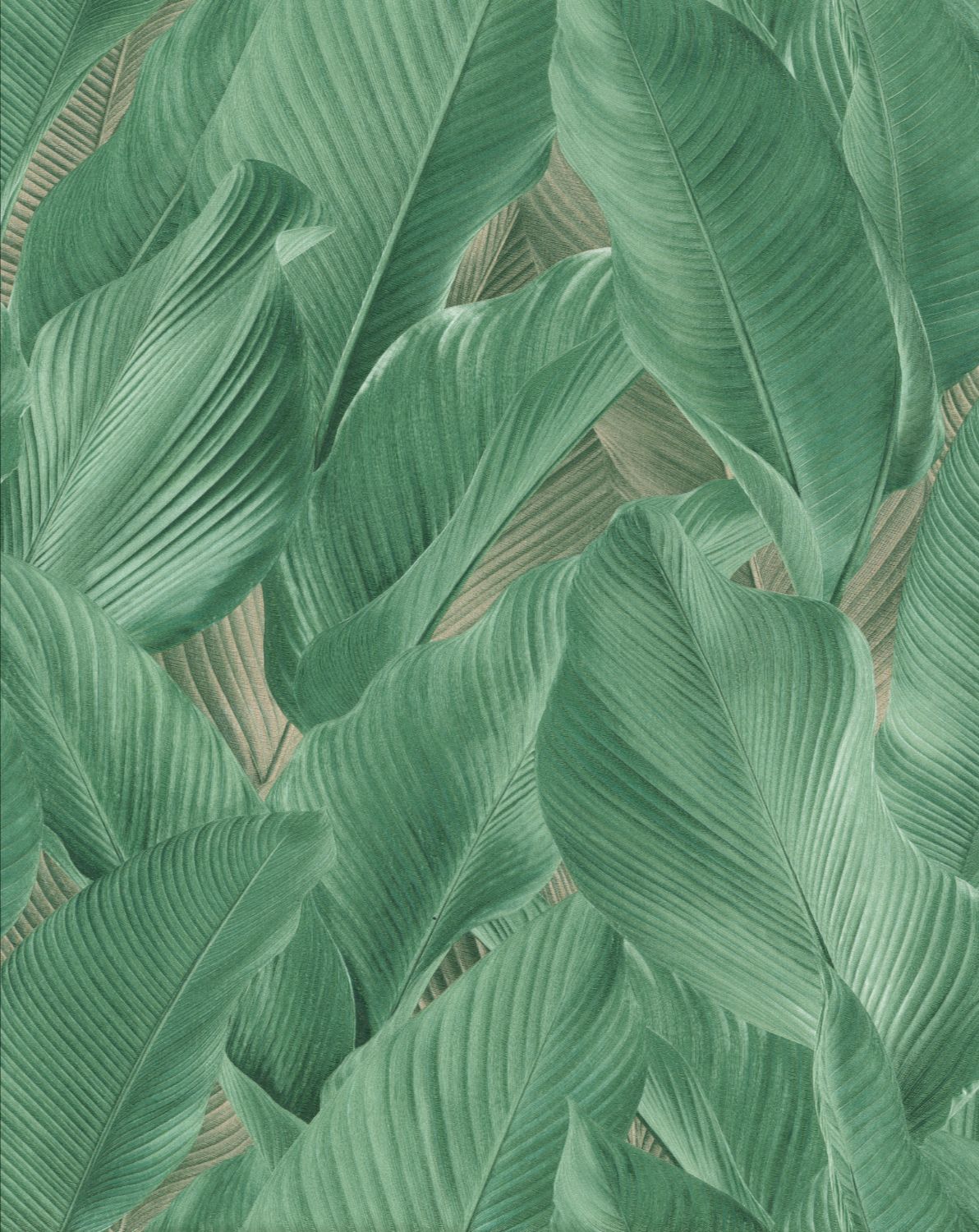 TAHITI-13304 TAHITI 13304 - Image 1