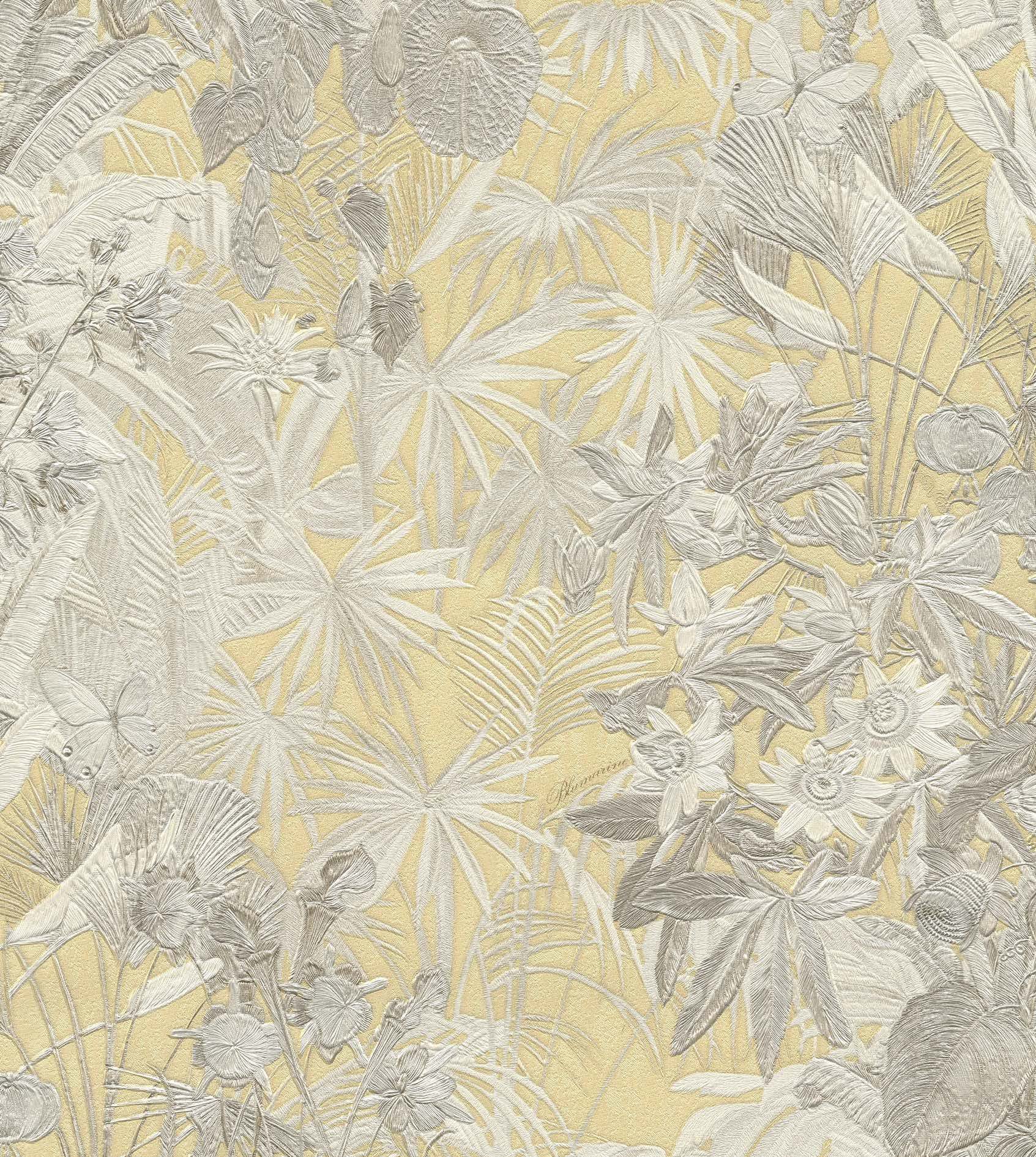 BM5-29044 Blumarine BM5-29044 - Image 1