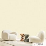 ALBANY2 6837-2
