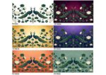 Peacock III - PE1003 - Image 2
