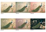 Peacock III - PE1013 - Image 2