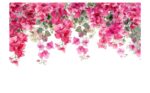 Serenique - Bougainvillea Cascade - Image 2