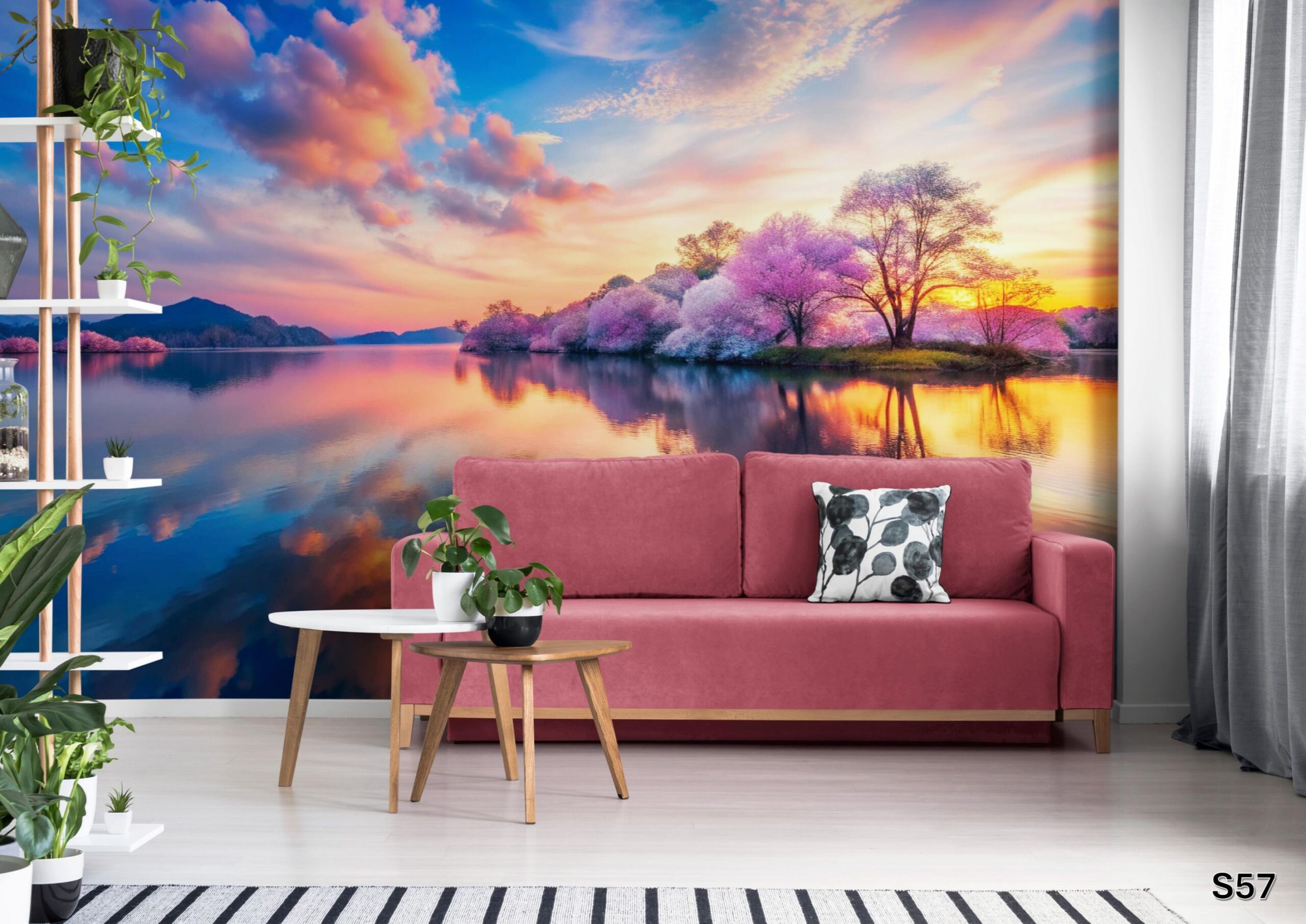 Scenic - S57 Scenic - S57 - Image 1