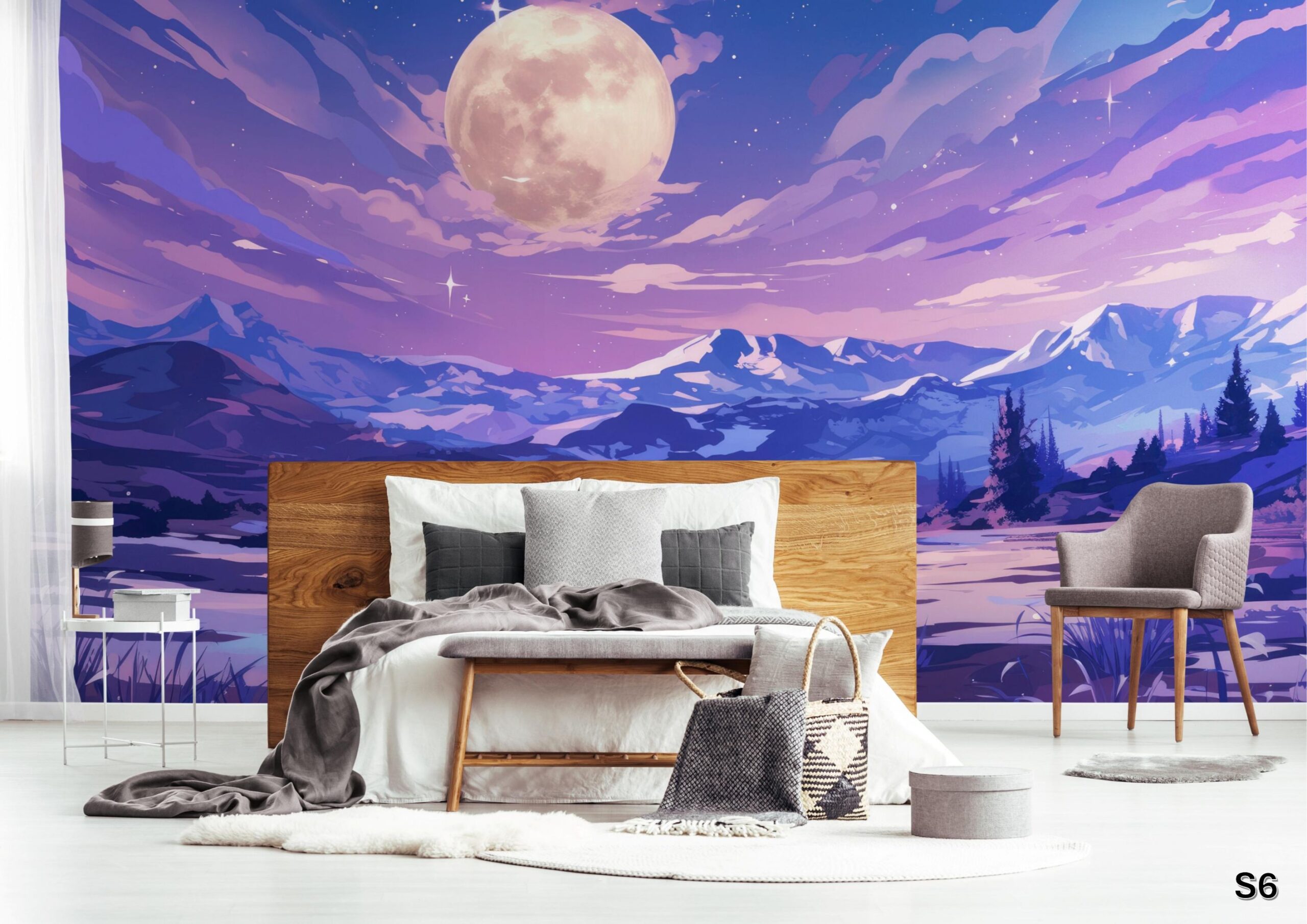 Scenic - S6 Scenic - S6 - Image 1
