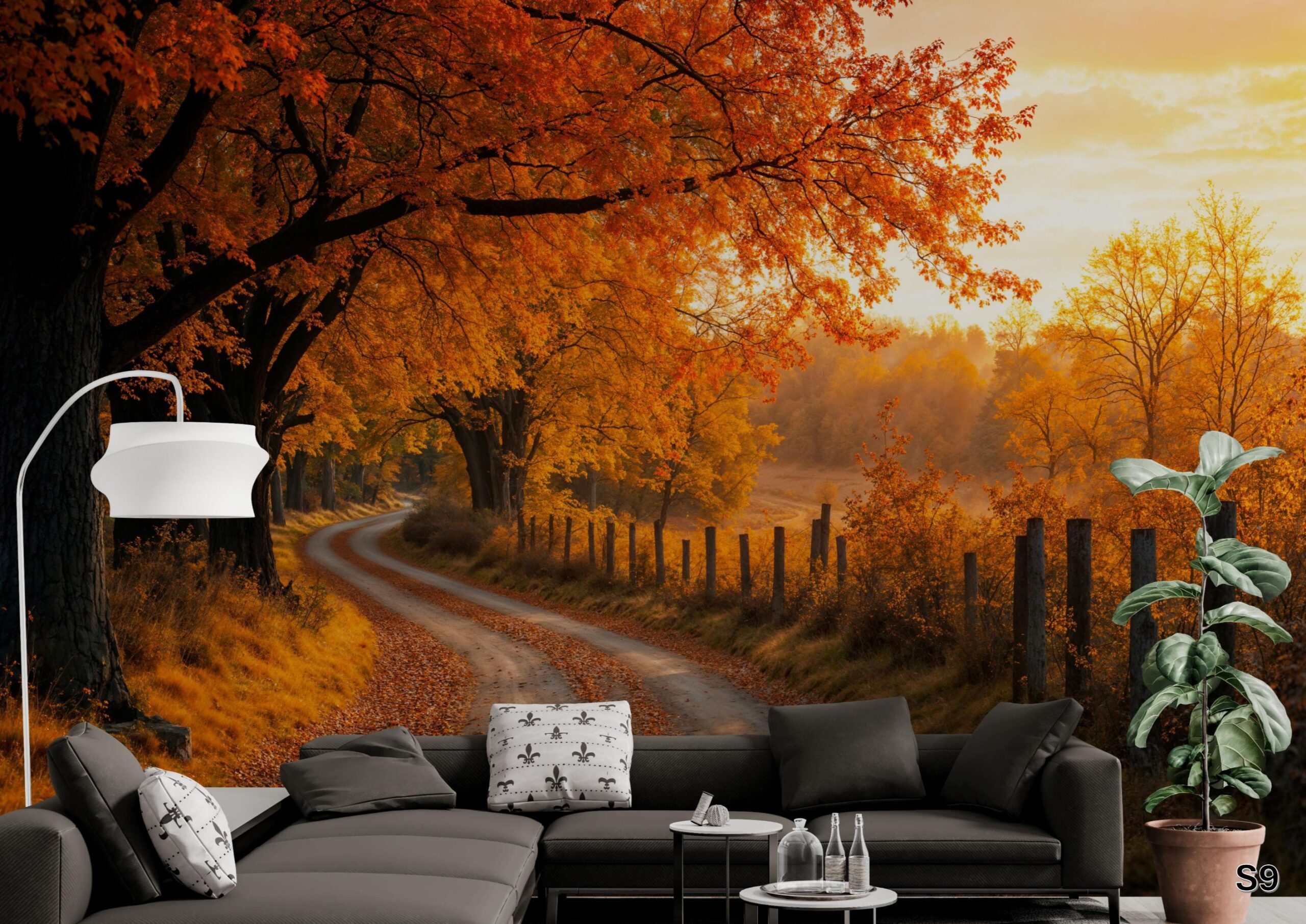 Scenic - S9 Scenic - S9 - Image 1