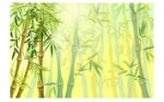 Serenique - Lumiere Bamboo - Image 2