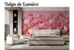 Serenique - Tulipe de Lumiere